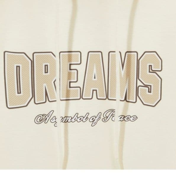 スウェットメンズ DREAMS 刺繍入りプルオーバーパーカー